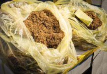 Tobacco in bags