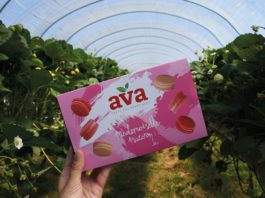 Berry good news Mademoiselle Macaron AVA Strawberries
