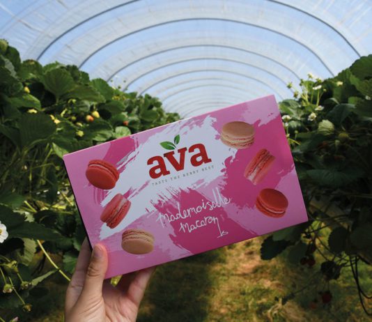 Berry good news Mademoiselle Macaron AVA Strawberries