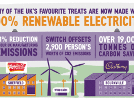 Renewable Future