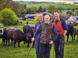 M&S goes big on Scottish produce