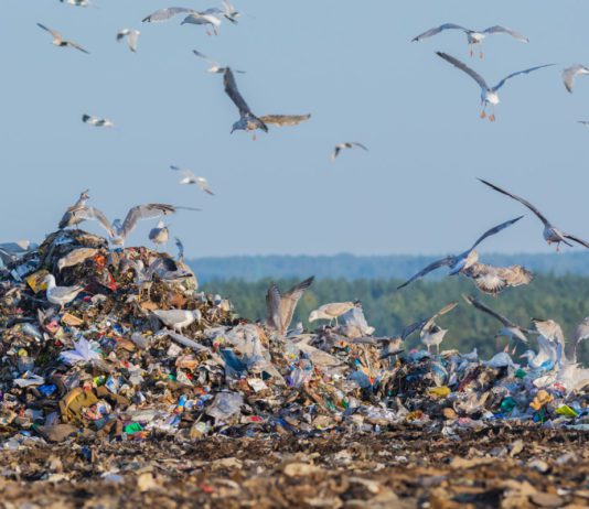 Scots in dark on food waste Food waste is a greater contributor to climate change than plastic waste.
