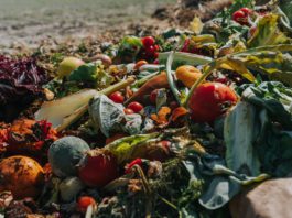 Fareshare M to do Shutterstock/ Janosch Kunze