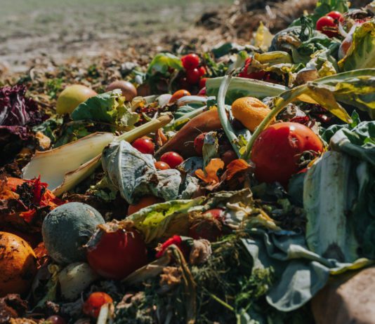 Fareshare M to do Shutterstock/ Janosch Kunze