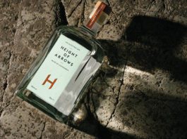 Edinburgh inspiration Height of Arrows gin