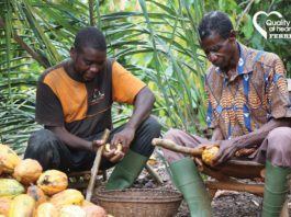 Ferrero focuses on farmers Ferrero Cacao Charter