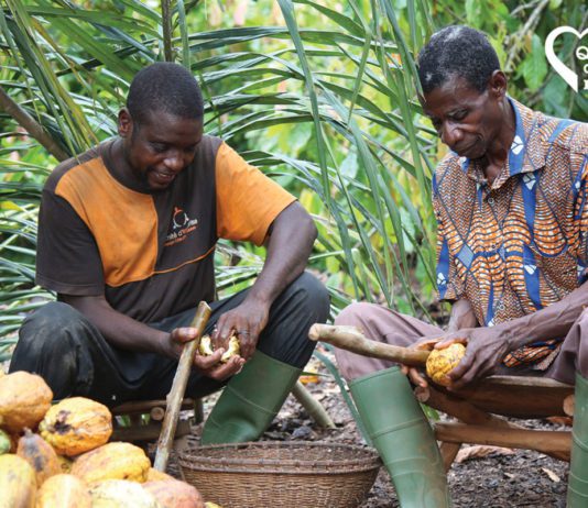 Ferrero focuses on farmers Ferrero Cacao Charter