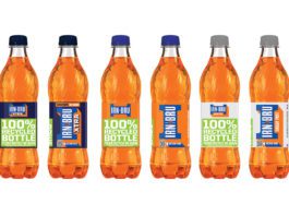 Step in sustainability Irn Bru 500ml