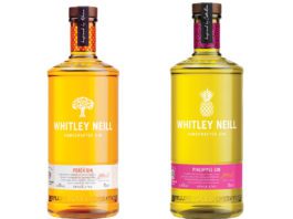 Fruity gins for summer