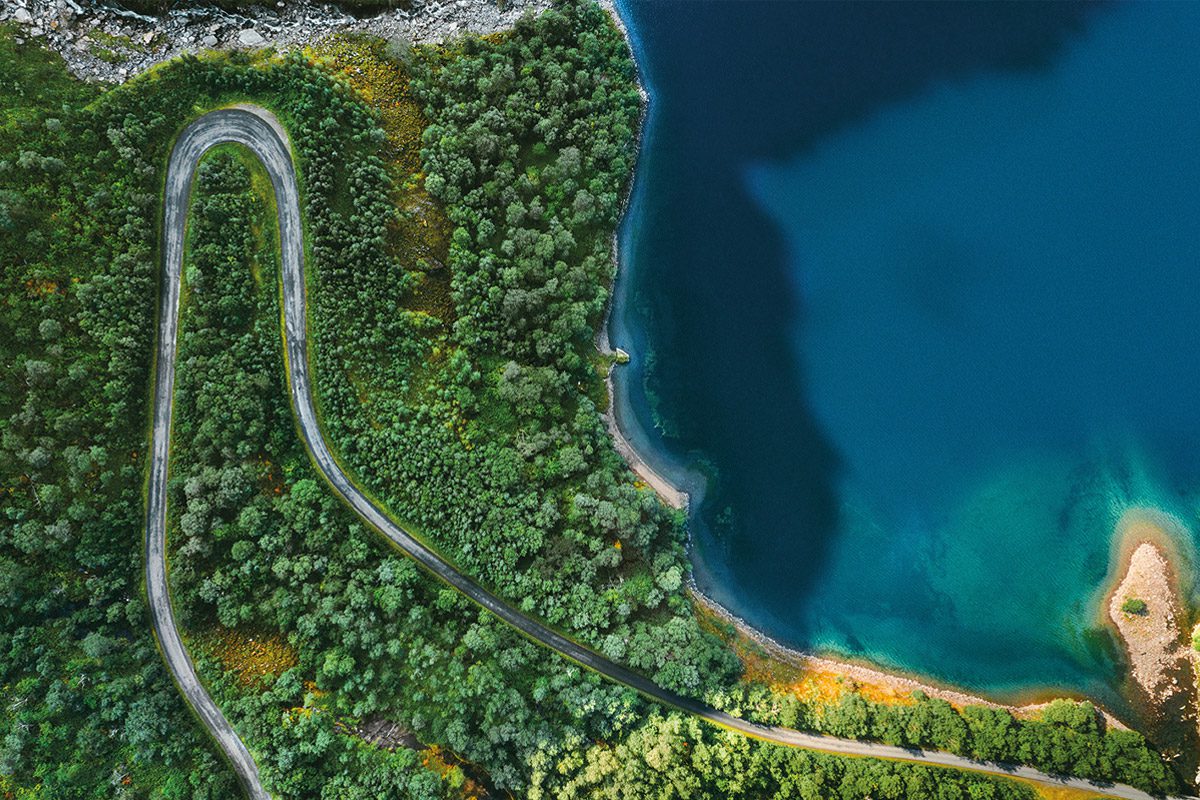 birds eye view of water and forrest