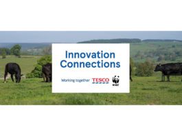 Search for sustainable solutions tesco