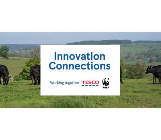 Search for sustainable solutions tesco