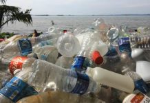 plastic bottles on the beach