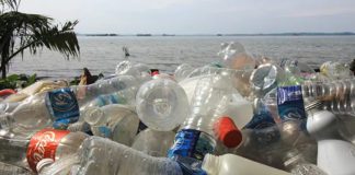 plastic bottles on the beach
