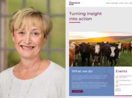 Banking on category data Headshot of Amanda Brown and screenshot of the knowledge bank website