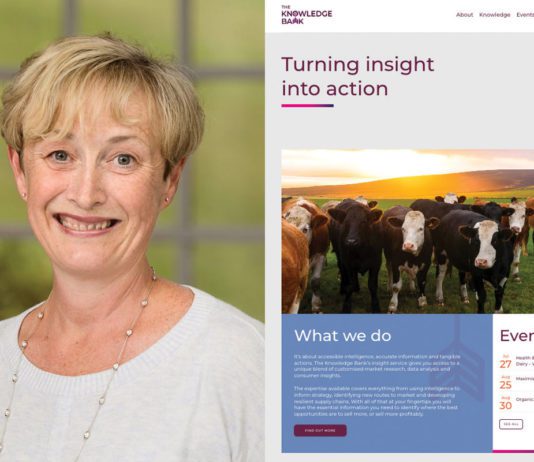 Banking on category data Headshot of Amanda Brown and screenshot of the knowledge bank website