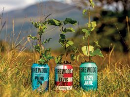 BrewDog barks up the right tree Brewdog beer cans with plants growing out of them