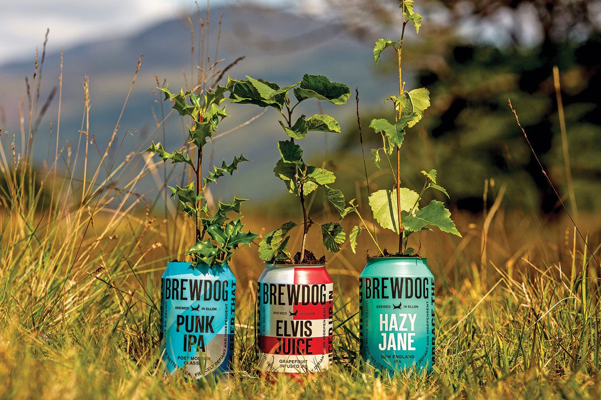 Brewdog beer cans with plants growing out of them