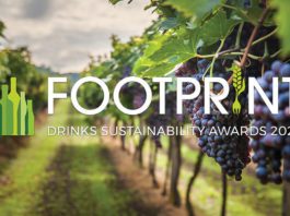 Celebrating sustainable success photograph of grapes in a vineyard