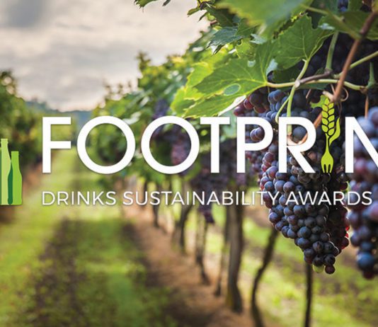 Celebrating sustainable success photograph of grapes in a vineyard