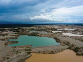 Raising a glass to the Amazon