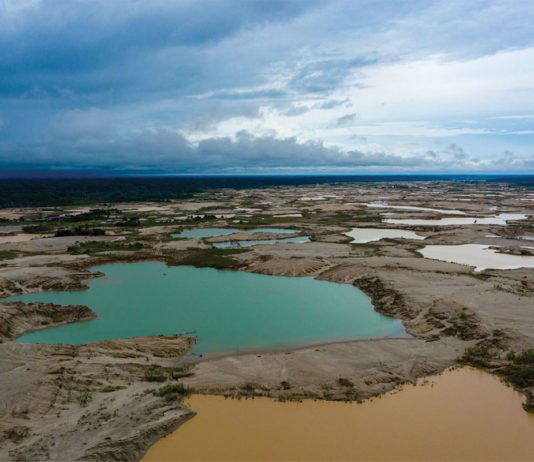 Raising a glass to the Amazon