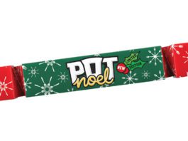 Festive Pot Noodle launches for Christmas Limited edition Pot Noodle Christmas flavour in cracker packaging