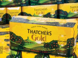 Thatchers Cider offers shopping solutions a 10 pack pf thatcher's gold cider