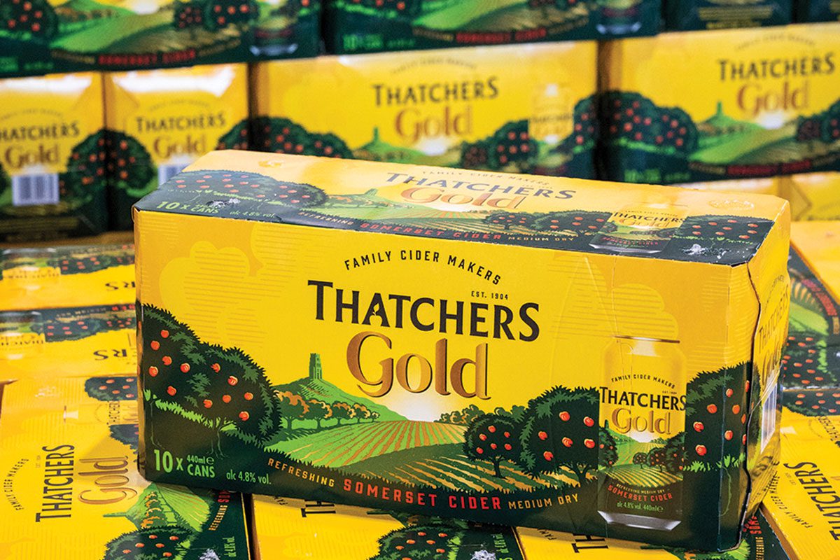 a 12 pack pf thatcher's gold cider