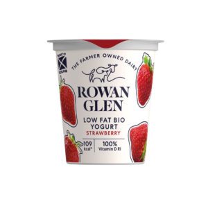 pot of rowan glen strawberry yoghurt