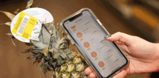 Gander App scans a reduced pineapple