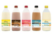flavoured milk selection