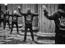 Rooting for diet change people wearing "eat plants. plant trees" hoodies