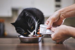 Pet owners perceive wet food as being enjoyable for cats and dogs.