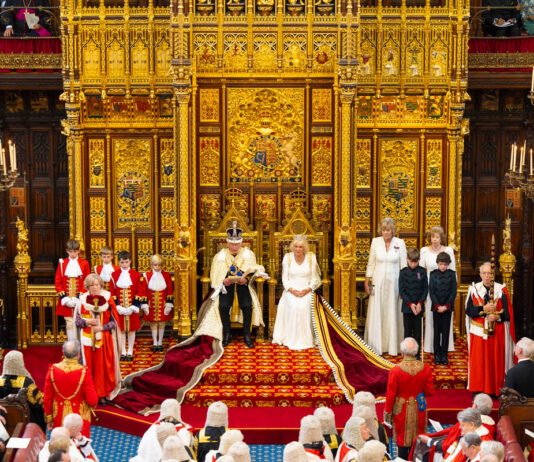 Concern over vapes debate King Charles III outlined Labour's legislative plans in Parliament. Picture: flickr.com/House of Lords 2024/Roger Harris.