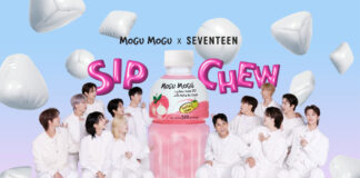 Promotional image between Mogu Mogu juice and K-Pop band Seventeen.