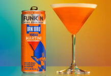 Life style image of a Funkin Cocktails Irn-Bru Vodka Martini can with the drink served in a martini glass next to it.