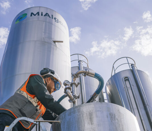 Eden Mill partners with MiAlgae A person working at a silo at the MiAlgae production facility.