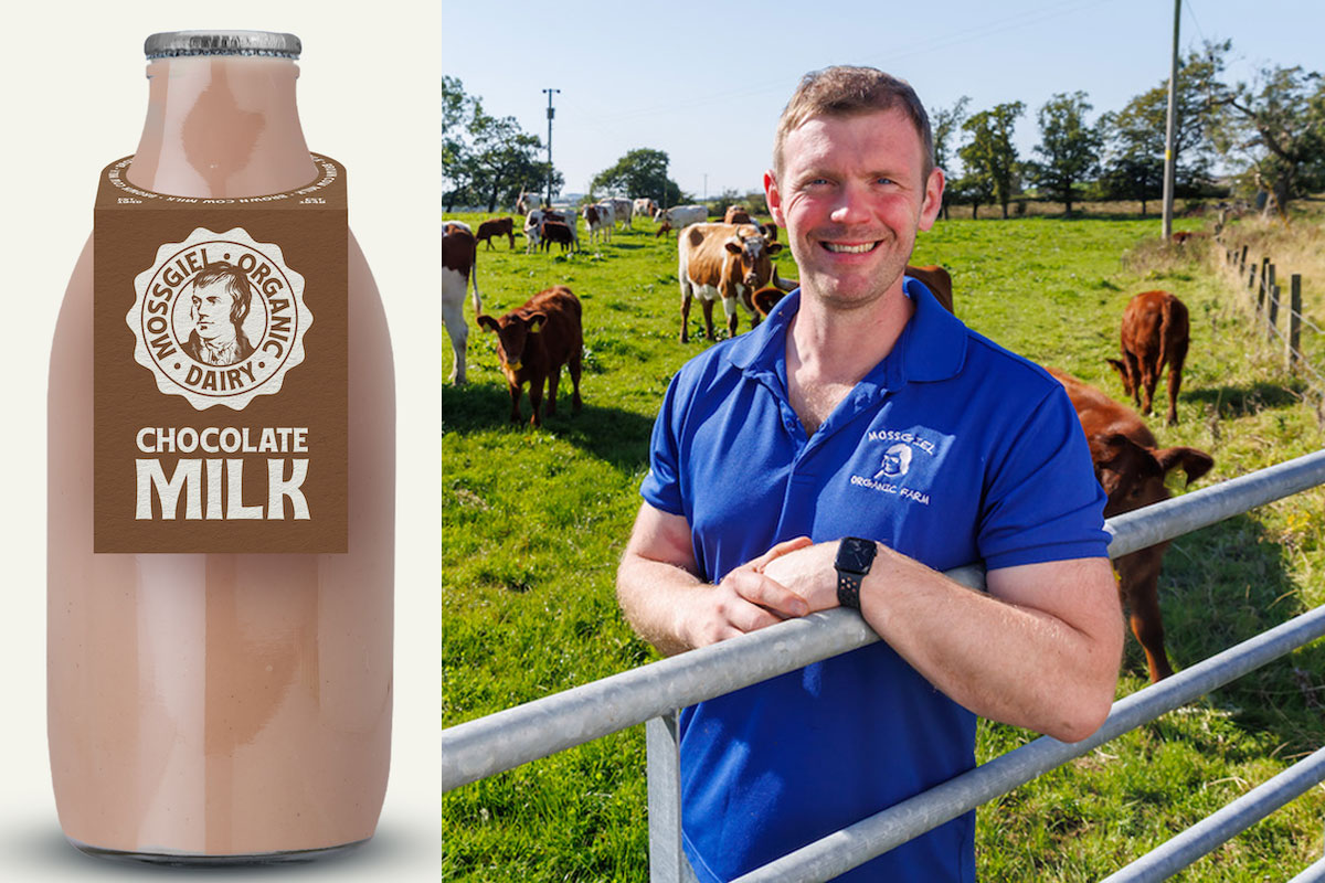 Bryce Cunningham, founder of Mossgiel Farm, stands in a field with cows behind him with a pack shot of a Mossgiel Dairy Farm Chocolate Milk bottle.