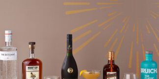 Pictures of the Remy-Cointreau spirits range including The Botanist gin, Mount Gay rum, Remy Martin VSOP Cognac, Cointreau and Bruichladdich whisky.