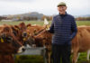 Dr Robert Graham stands in a field holding a bottle of Graham's Jersey Milk with the family's herd of cows behind him.