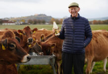 Dr Robert Graham stands in a field holding a bottle of Graham's Jersey Milk with the family's herd of cows behind him.