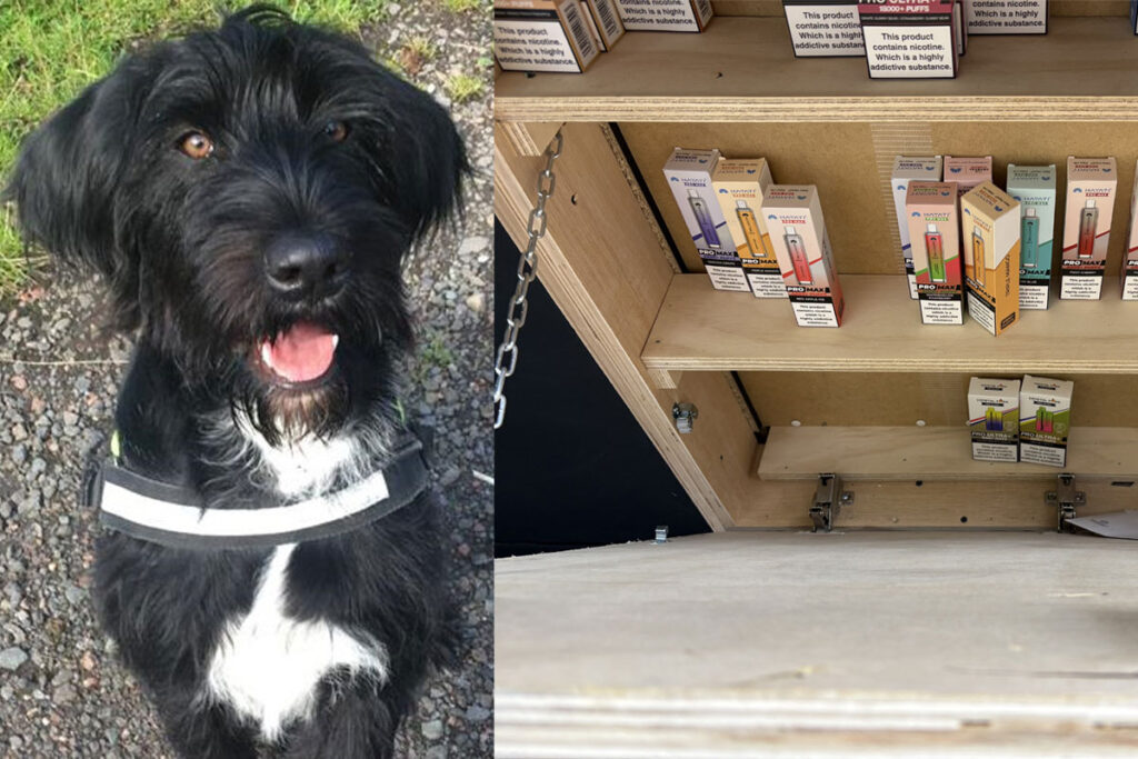 An image of a black and white dog is to the left of the picture, with an under-the-counter illicit nicotine hatch shown to the right hand side of the image.