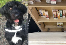 An image of a black and white dog is to the left of the picture, with an under-the-counter illicit nicotine hatch shown to the right hand side of the image.