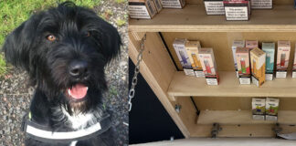 An image of a black and white dog is to the left of the picture, with an under-the-counter illicit nicotine hatch shown to the right hand side of the image.