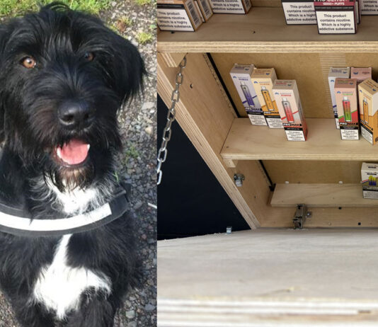 Over £3k in illicit nicotine products seized in Falkirk An image of a black and white dog is to the left of the picture, with an under-the-counter illicit nicotine hatch shown to the right hand side of the image.