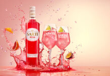 A bottle of Sarti Rosa splashes down in a liquid with two wine glasses next to it fill with the spirit and fruit, with pieces of fruit splashing into the liquid as well.