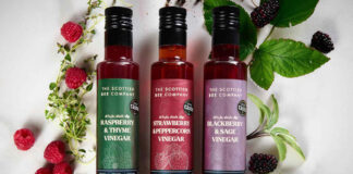 Bottles of The Scottish Bee Company Honey Drizzles lie across a marble countertop with raspberry plants and blackberry plants around the bottles.