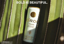 A can of Cîroc Colada sits in the grooves of a cactus with the text 'BOLD IS BEAUTIFUL' at the top of the image.