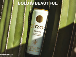 Cîroc Vodka unveils new Colada cocktail can A can of Cîroc Colada sits in the grooves of a cactus with the text 'BOLD IS BEAUTIFUL' at the top of the image.